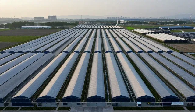 品牌策划中信息咨询的性能与适用条件分析